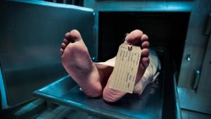 Situs News Indoesia Alternatif Informasi Berita Viral Terbaru