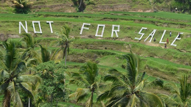 Situs News Indoesia Alternatif Informasi Berita Viral Terbaru