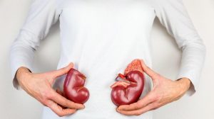 Situs News Indoesia Alternatif Informasi Berita Viral Terbaru