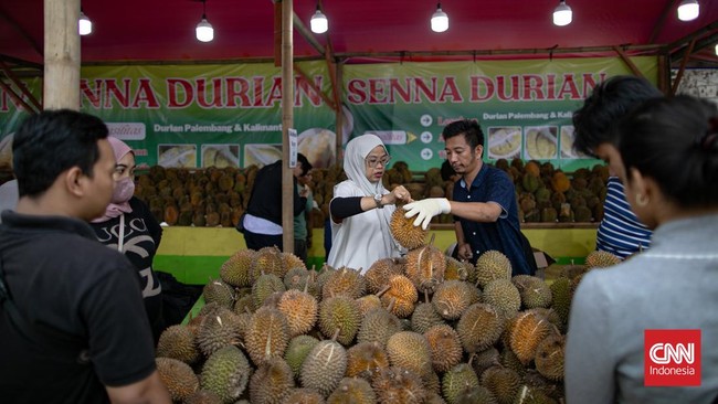 Situs News Indoesia Alternatif Informasi Berita Viral Terbaru